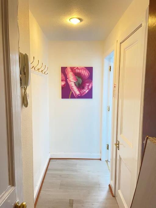 City Studio Flat West Toll Cross Edinburgh Ngoại thất bức ảnh
